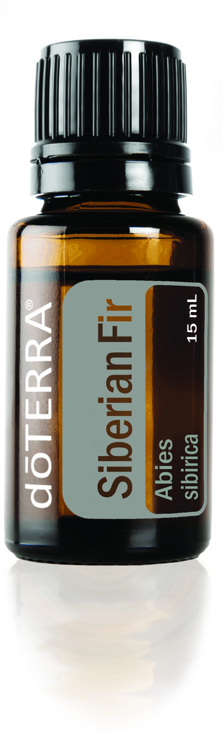 Siberian Fir Oil - doTERRA Essential Oils