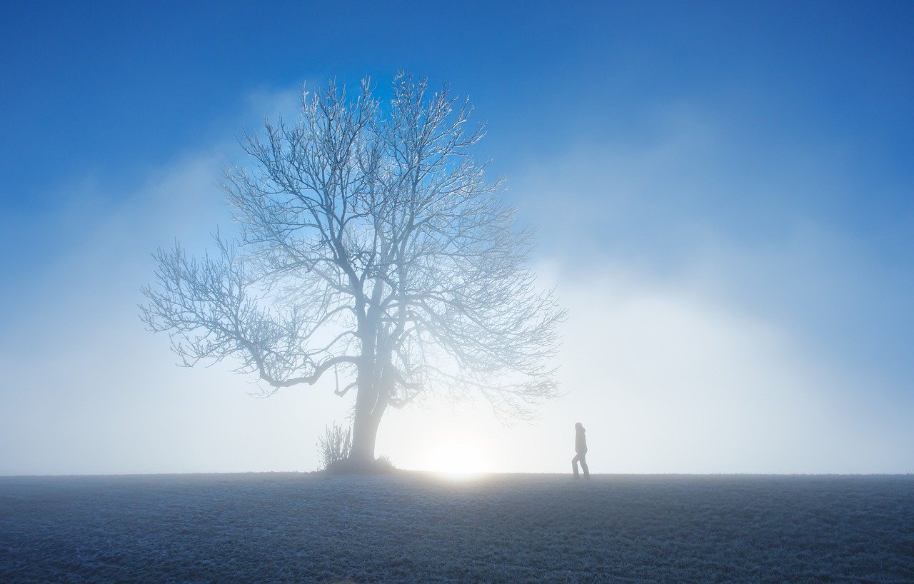 Essential oils for winter
