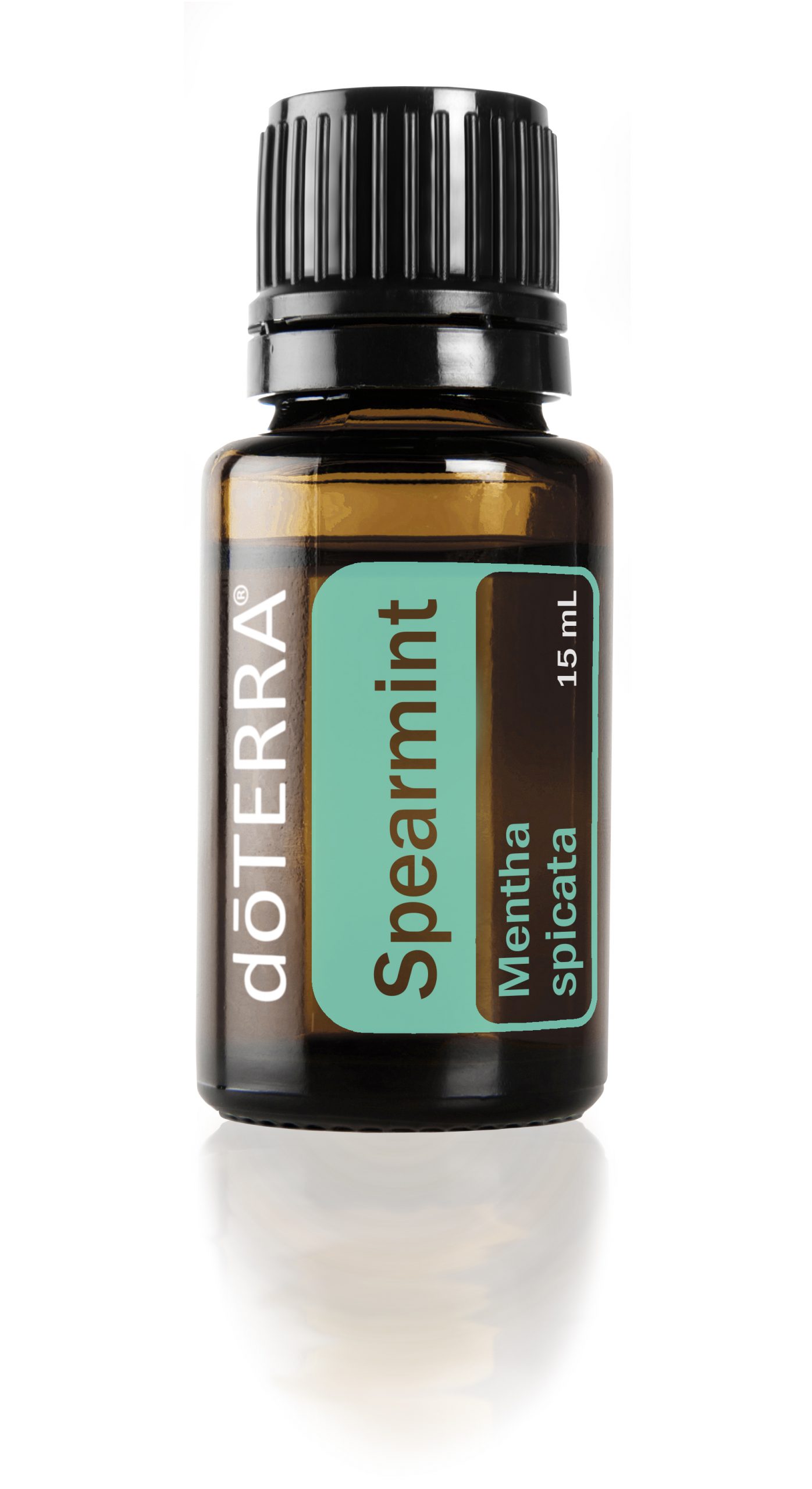 Spearmint Oil - doTERRA Essential Oils