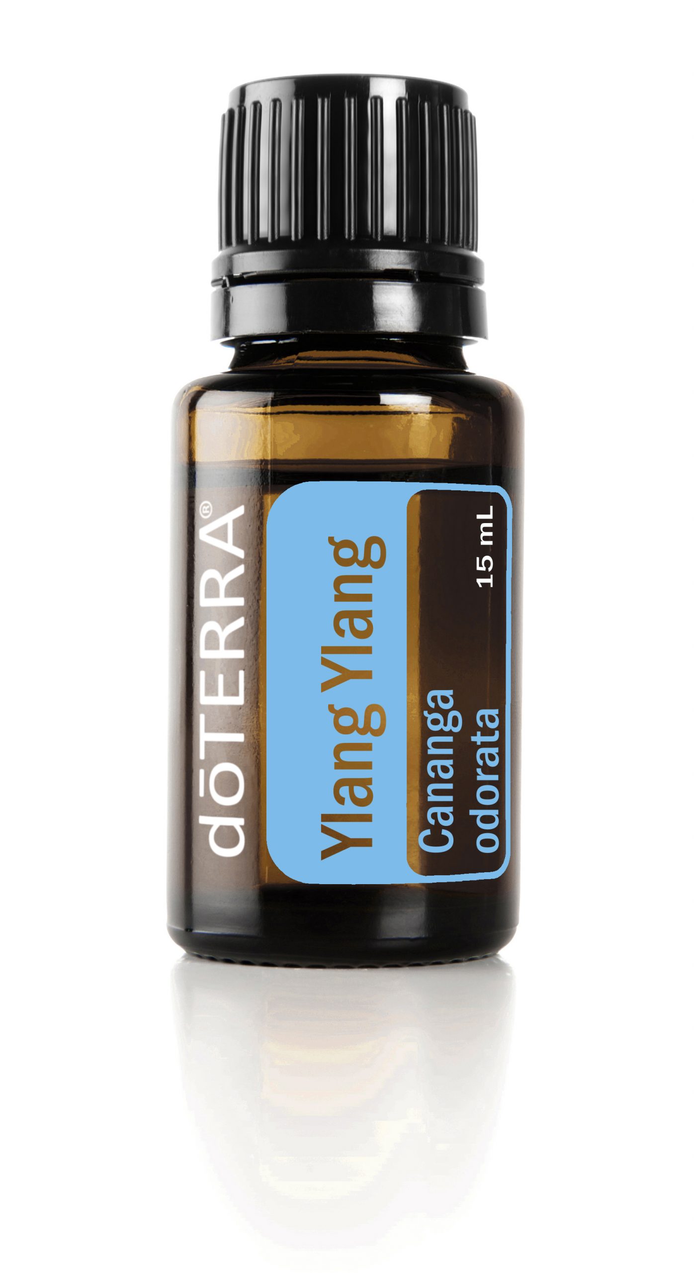 ylang ylang essential oil